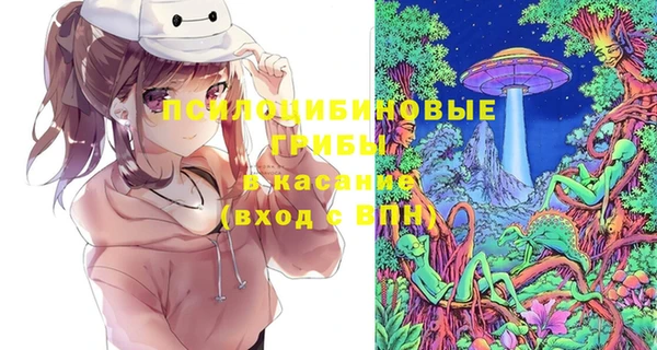 амф Козловка