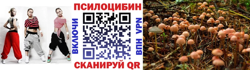 купить наркотик  Ливны  KRAKEN сайт  Псилоцибиновые грибы прущие грибы 