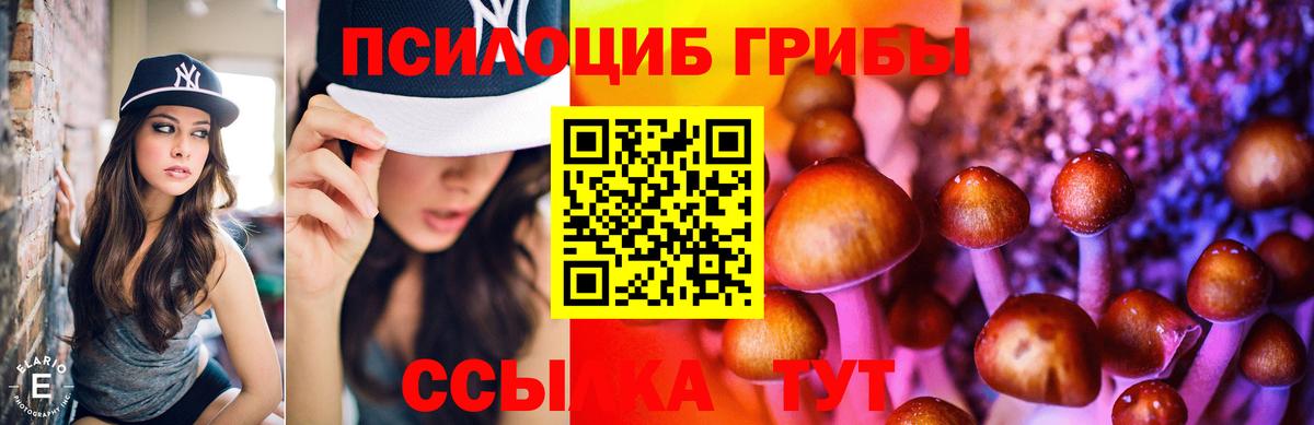 Галлюциногенные грибы Magic Shrooms Ливны